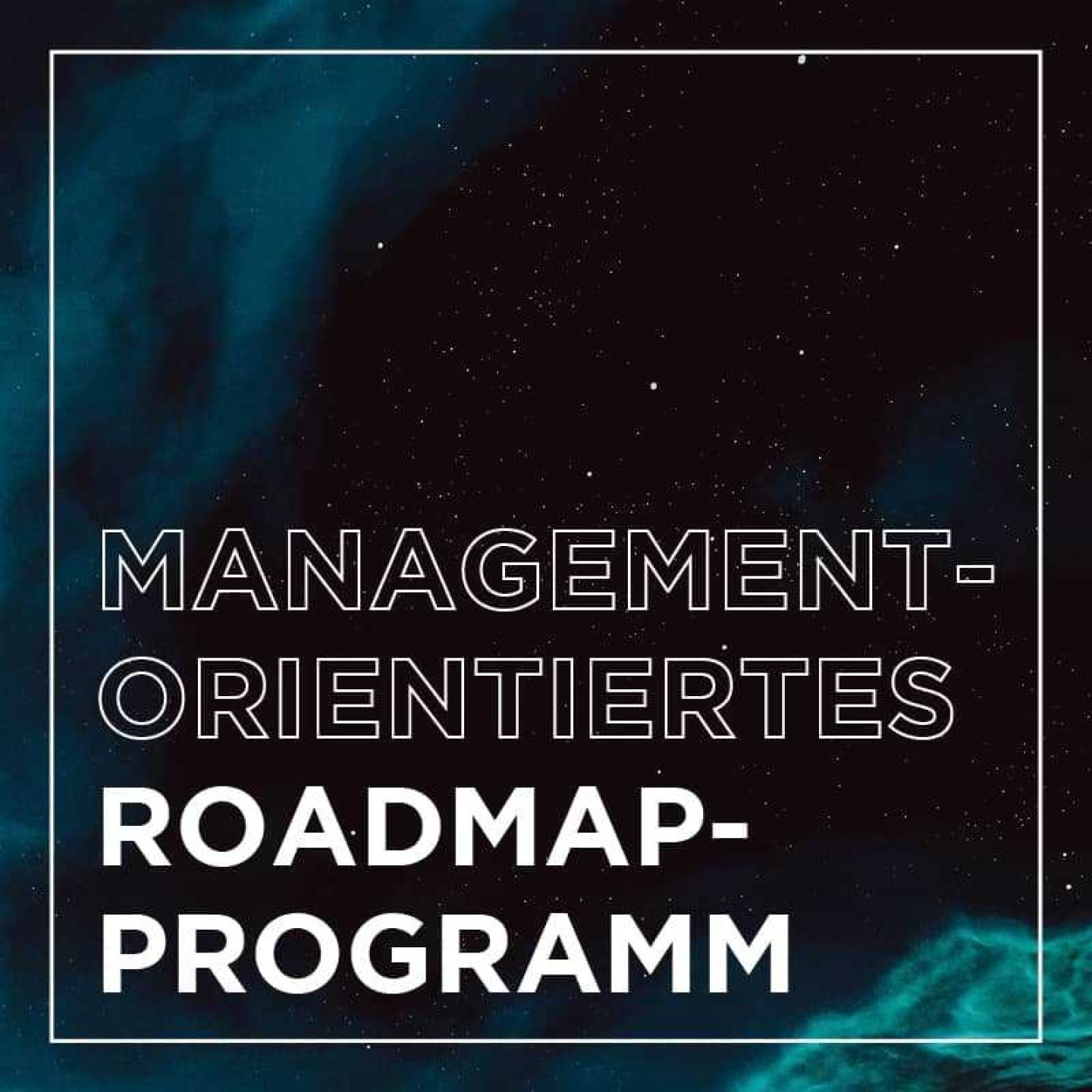 Kachel insight roadmap edition management orientiertes roadmap programm