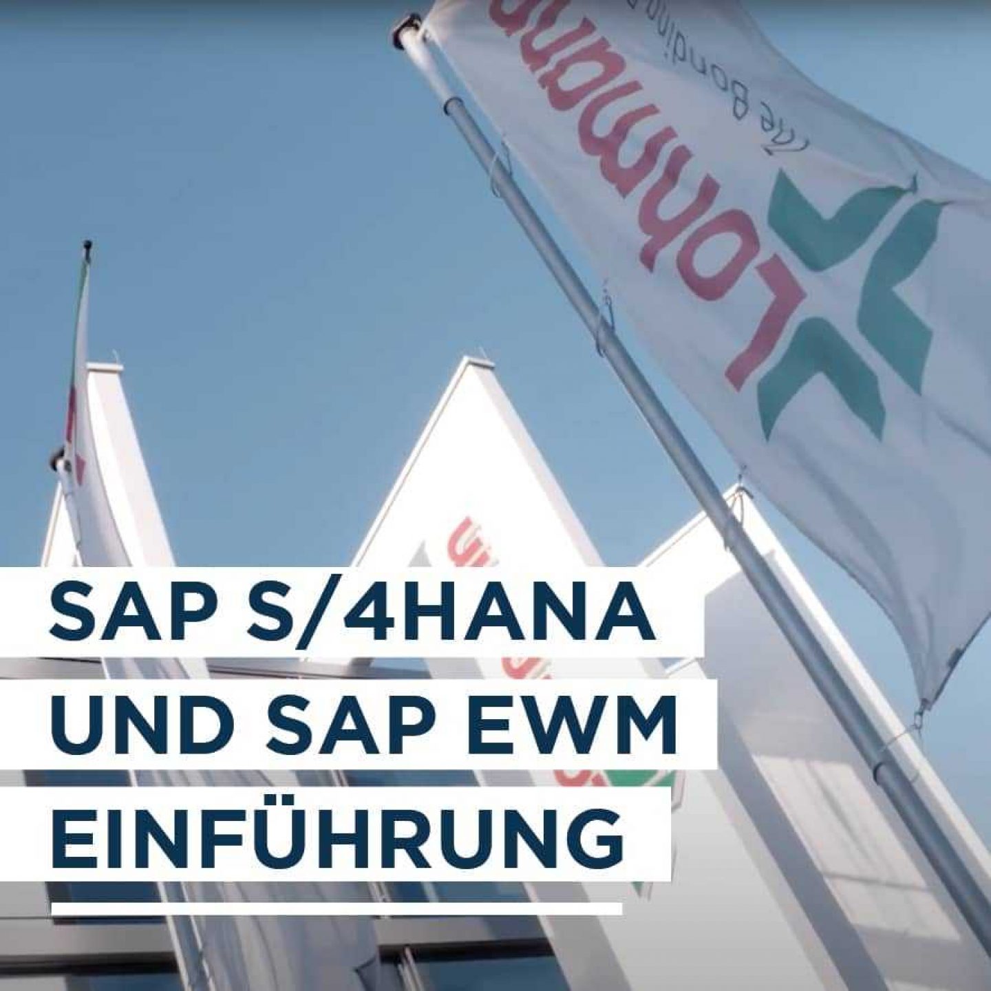 Webinar sap s4h sap ewm einfuehrung