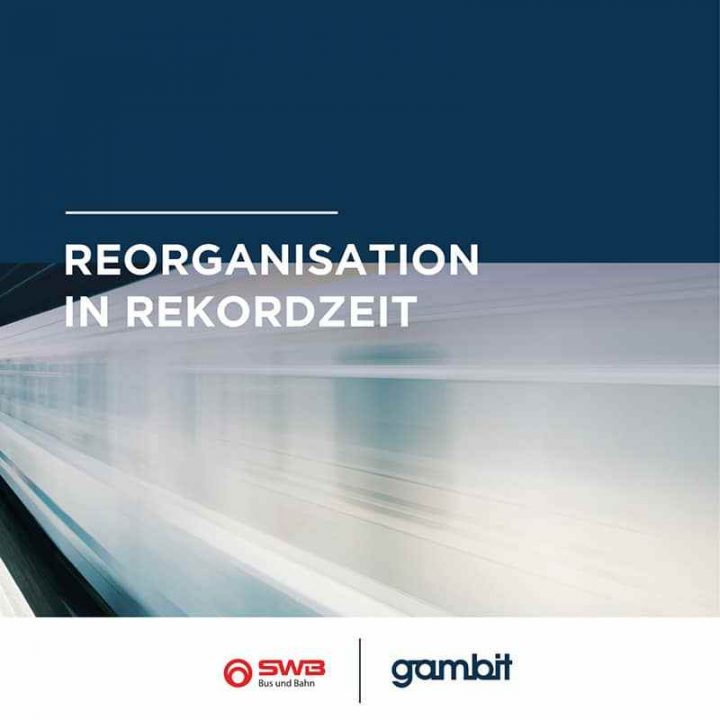 GAMBIT Consulting - Referenz SWB Cover